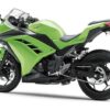 Kawasaki Ninja 300 2015 back2