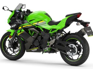 Kawasaki Ninja 125 2019 green back