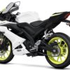 Yamaha YZF-R125 2019 back