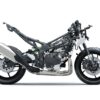 Kawasaki Ninja ZX-4RR 2024 frame