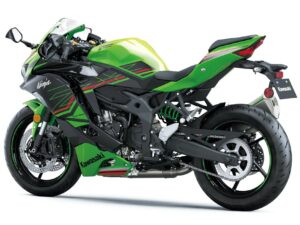 Kawasaki Ninja ZX-4RR 2023 back