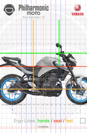 Yamaha MT-03 2025 Ice Storm