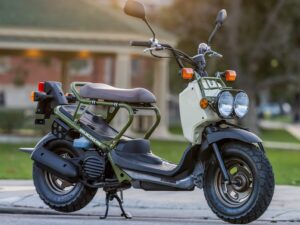 Honda Ruckus 2024 Beige front