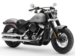 Harley-Davidson Softail Slim 2020 gray front