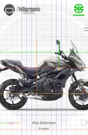 Kawasaki Versys 650 2017 Metallic Flat Raw Titanium