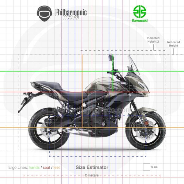 Kawasaki Versys 650 2017 Metallic Flat Raw Titanium