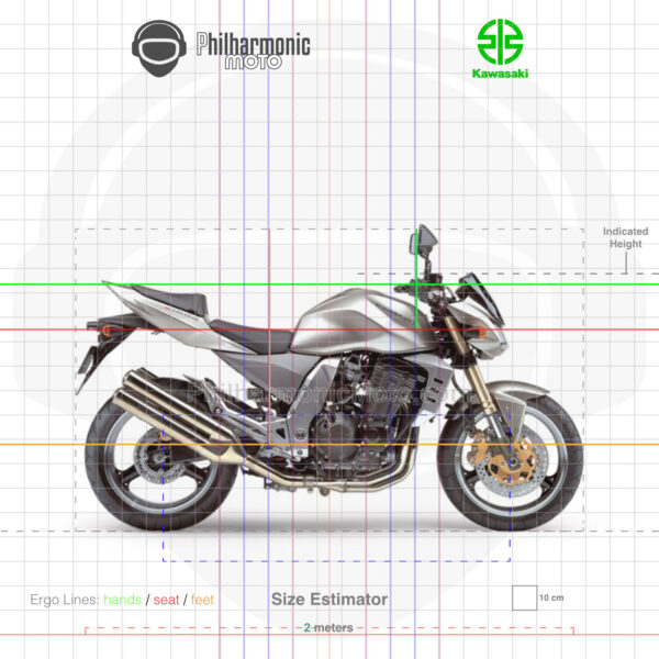 Kawasaki Z1000 2005 Metallic Raw Titanium