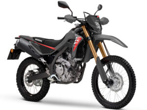 Honda CRF300L 2025 Swift Grey front